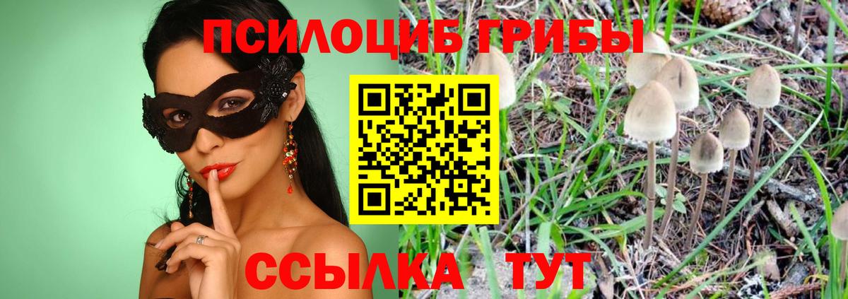 Галлюциногенные грибы мицелий Усолье-Сибирское